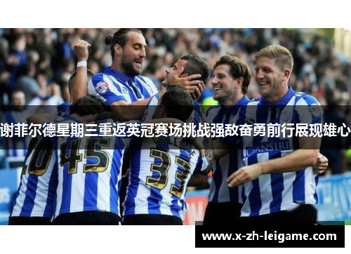 谢菲尔德星期三重返英冠赛场挑战强敌奋勇前行展现雄心