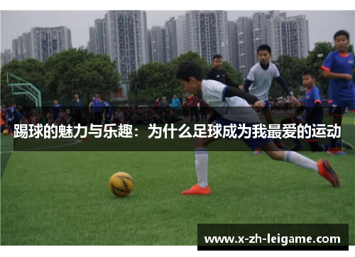 踢球的魅力与乐趣：为什么足球成为我最爱的运动